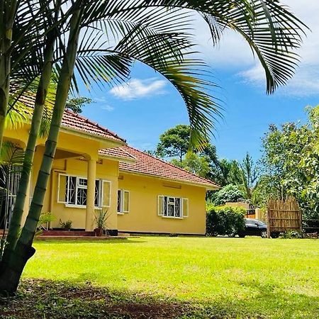 ジンジャ Buutu Nest Bed & Breakfast エクステリア 写真