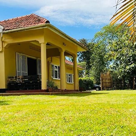 ジンジャ Buutu Nest Bed & Breakfast エクステリア 写真